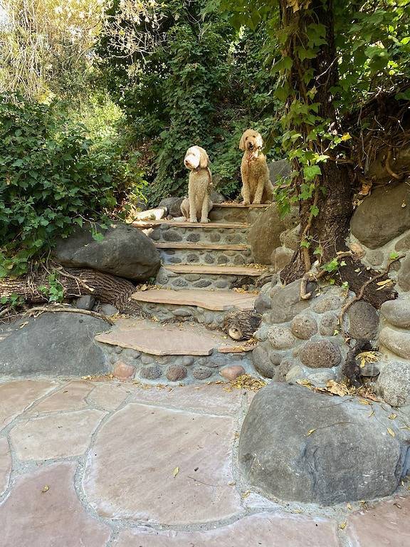 Creekfront Luxus in Oak Creek Cyn, Sedona (Tierfreundlich) in Oak Creek Canyon