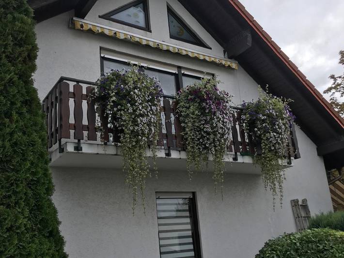 Ferienwohnung für 4 Personen, mit Garten und Terrasse, kinderfreundlich in Rheinhessen