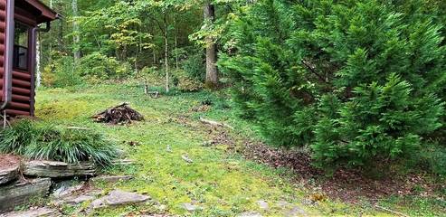 Log Cabin for 6 Guests in Sevierville, Sevier County, Picture 1