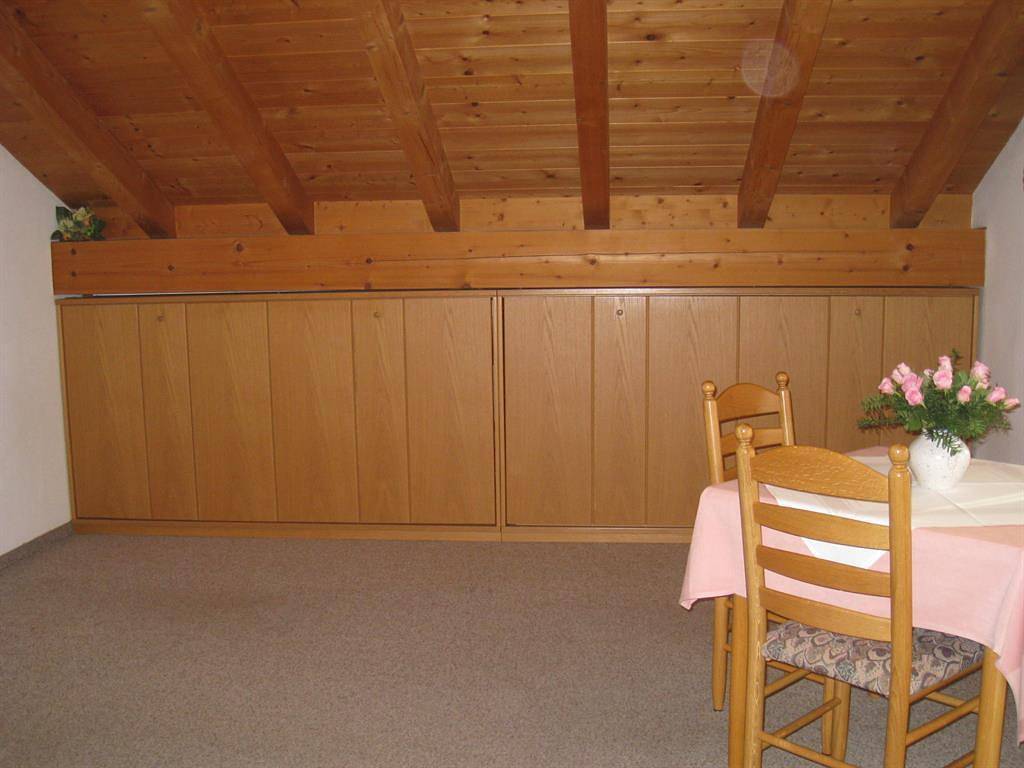 Entire holiday apartment, Apartment, shower, toilet, living room/bedroom in Garmisch-Partenkirchen, Bavarian Alps