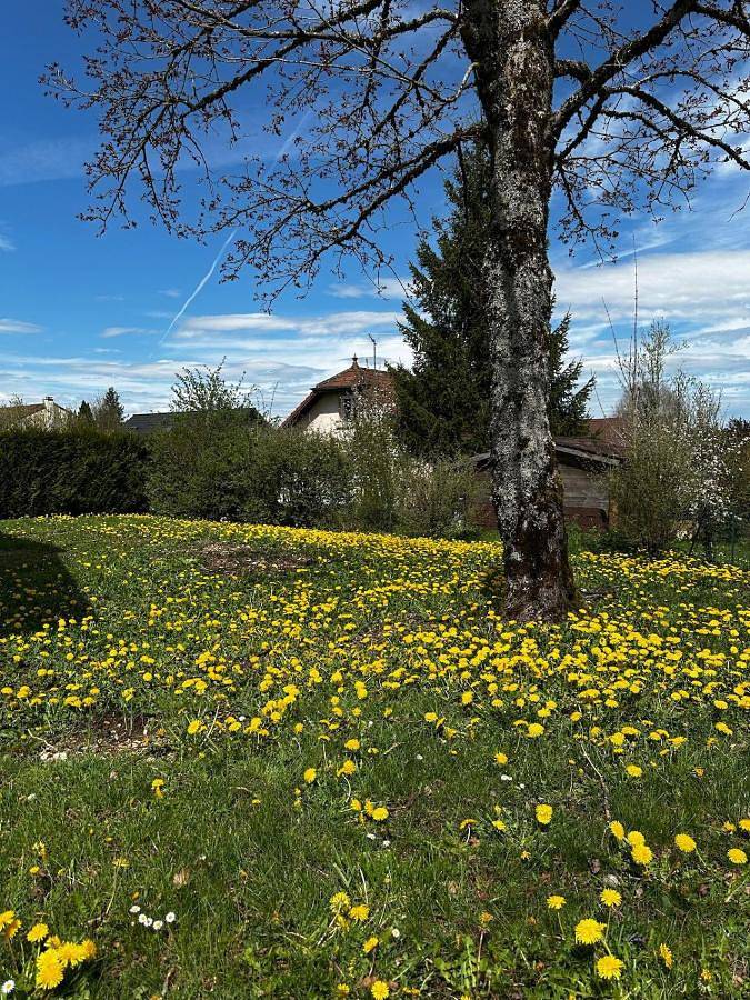 Gîte pour 4 personnes, avec terrasse et vue à Champagnole - 3