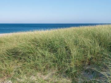 Ferieudlejning til 12 Personer i Langerhuse, Harboøre, Billede 2