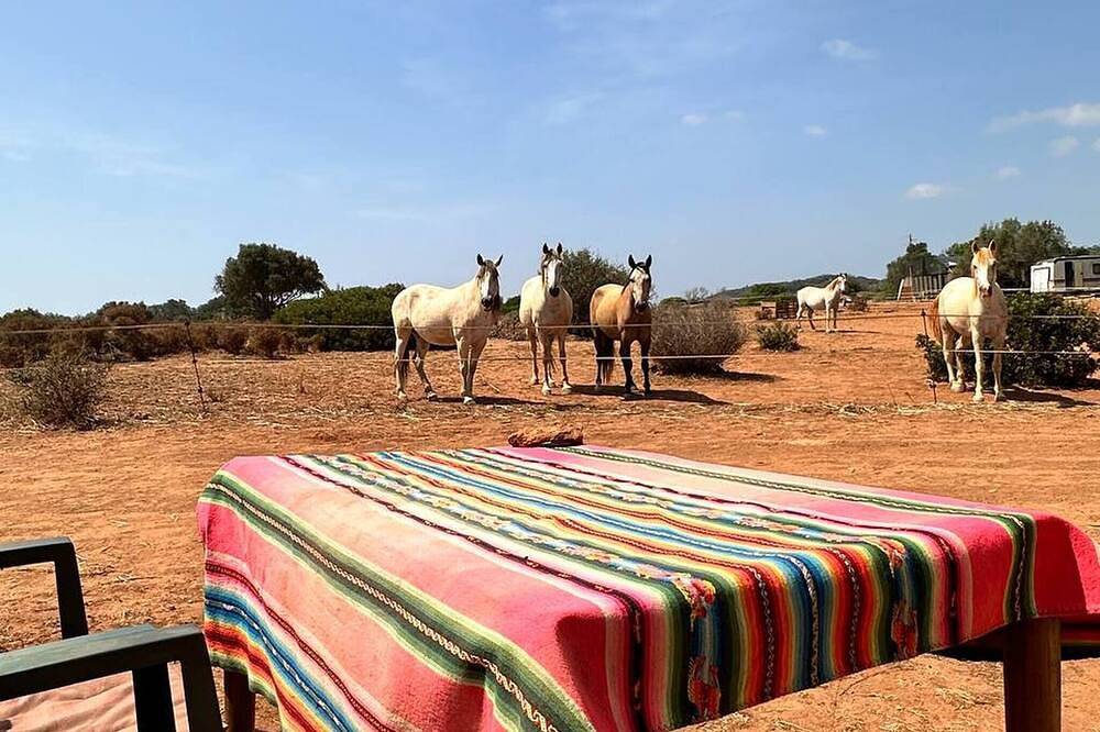 Camping pour 2 Personnes dans Bensafrim e Barão de São João, Algarve