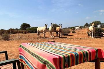 Camping für 2 Personen an der Algarve