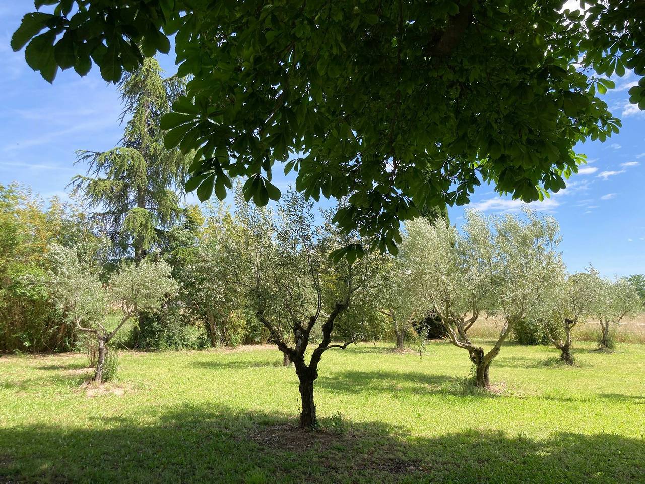 Amplia villa provenzal cerca de Luberon in Oraison, Alpes de Alta Provenza
