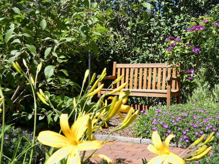 Ganze Ferienwohnung, Appartement/Fewo, Dusche, Wc, 1 Schlafraum in Celle, Aller-Leine-Tal