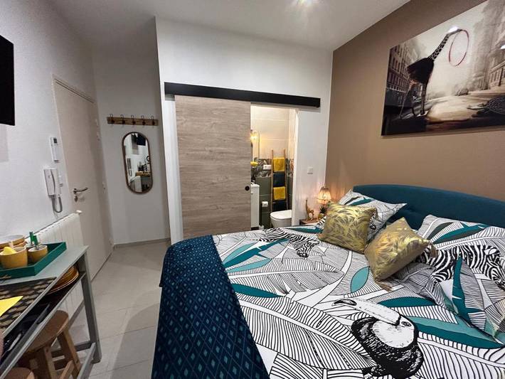 Chambre d’hôte pour 2 personnes, avec terrasse à Narbonne - 2