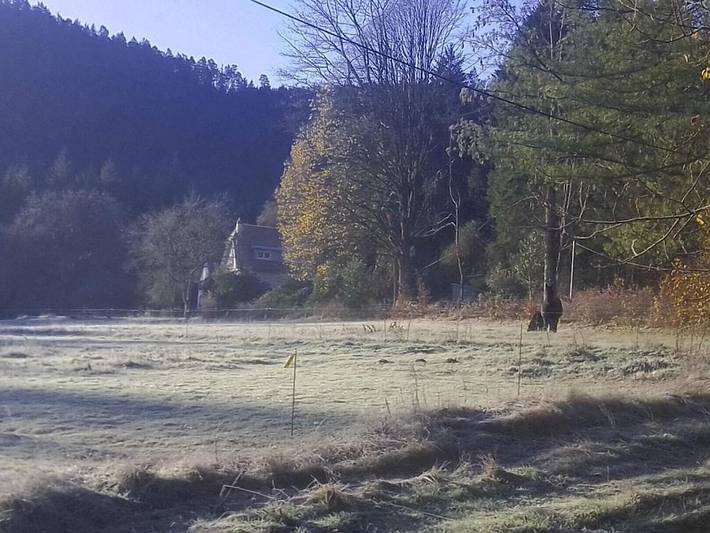 Location de vacances pour 6 personnes, avec jardin à Saint-Michel-sur-Meurthe - 4