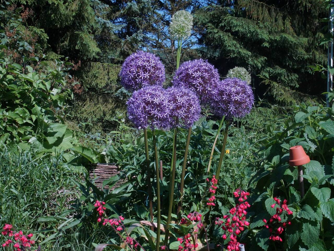 Ganze Ferienwohnung, Fewo Die Dittrichs in Eggolsheim, Fränkische Schweiz