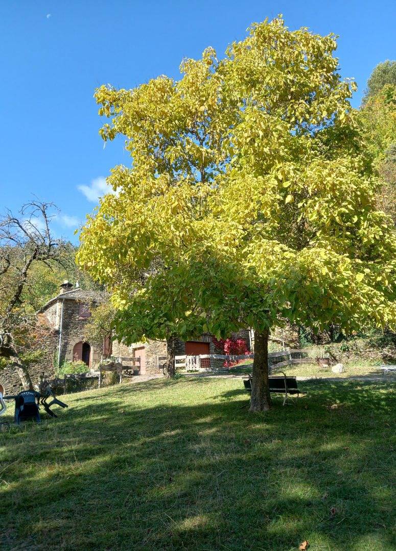 Gite familial "la Clède" avec piscine et à la ferme in Saint-Germain-de-Calberte, Parc national des Cévennes