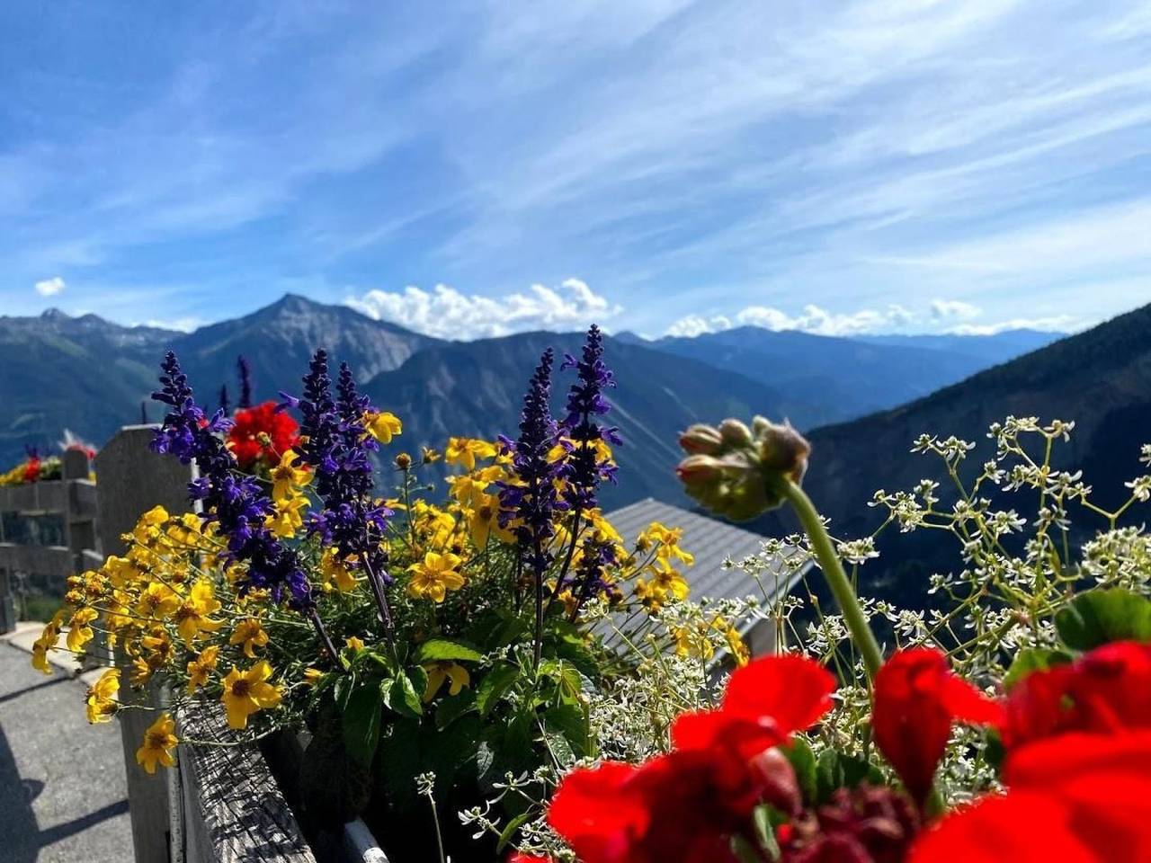 Appartamento intero, Chalet Abendstern in Albinen, Leukerbad e dintorni