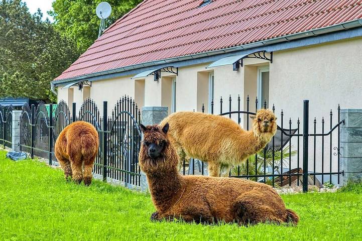 Ferienwohnung für 4 Personen in Schmatzin