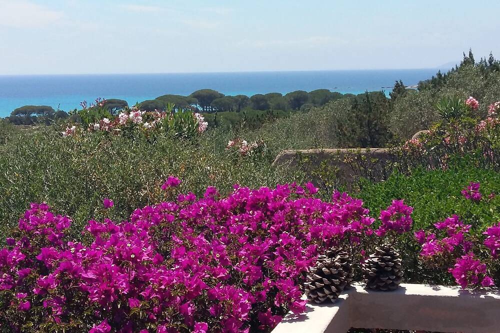 Maison De Vacances pour 4 Personnes dans Palombaggia, Porto-Vecchio