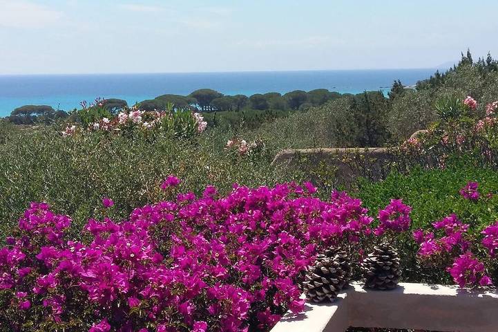 Maison de vacances pour 4 personnes, avec Terrasse et Jardin dans Palombaggia