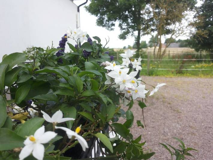 Ferienhaus für 4 Personen, mit Terrasse und Garten sowie Seeblick und Ausblick in Helsingborg - 2