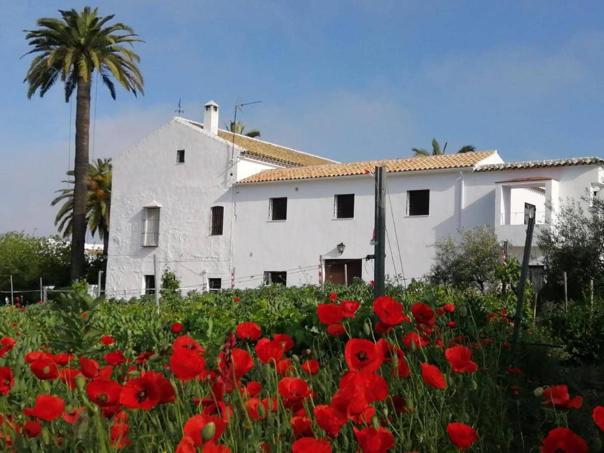 Appartement entier, One-bedroom Loft Apartment in Navas del Selpillar, Lucena