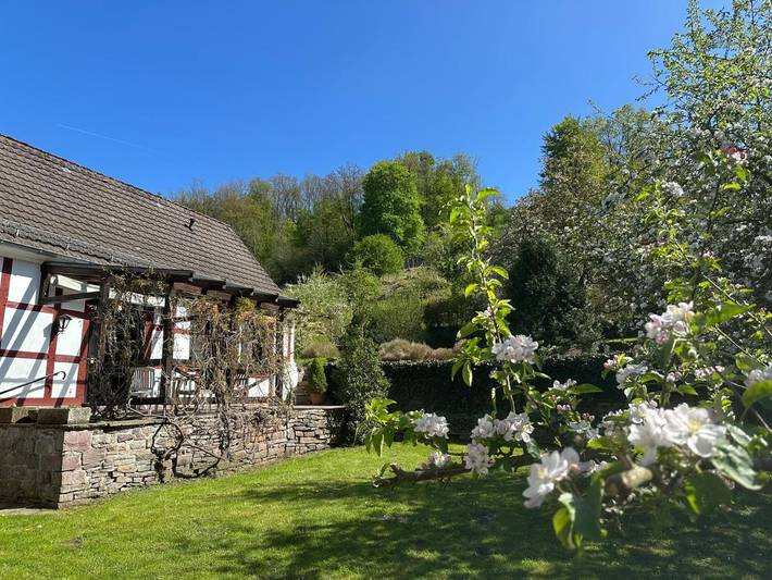Ferienhaus für 5 Personen, mit Terrasse und Garten sowie Sauna und Ausblick in Beverungen