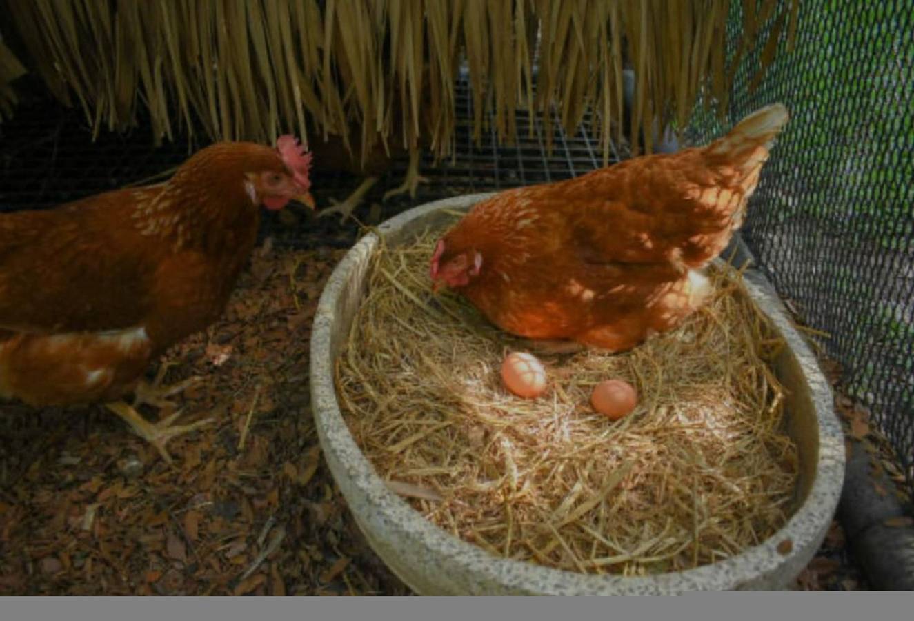 Apartamento entero, Boutique King Suite at Orchard Lake | Private Farm in Condado de Orange (NY)