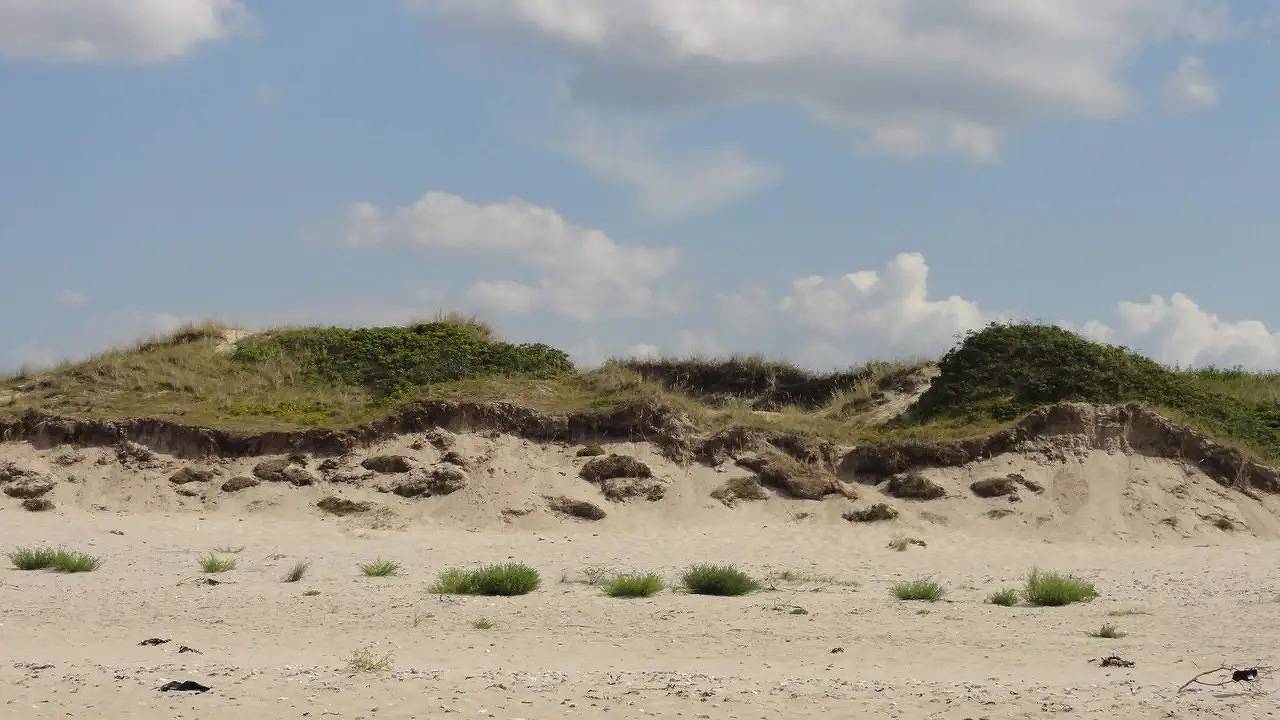 Ferienhaus für 18 Personen (236 m²) in Liseleje in Liseleje, Kattegat