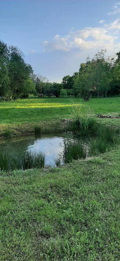 Location de vacances pour 6 personnes, avec vue ainsi que jardin et piscine à Queyssac - 4