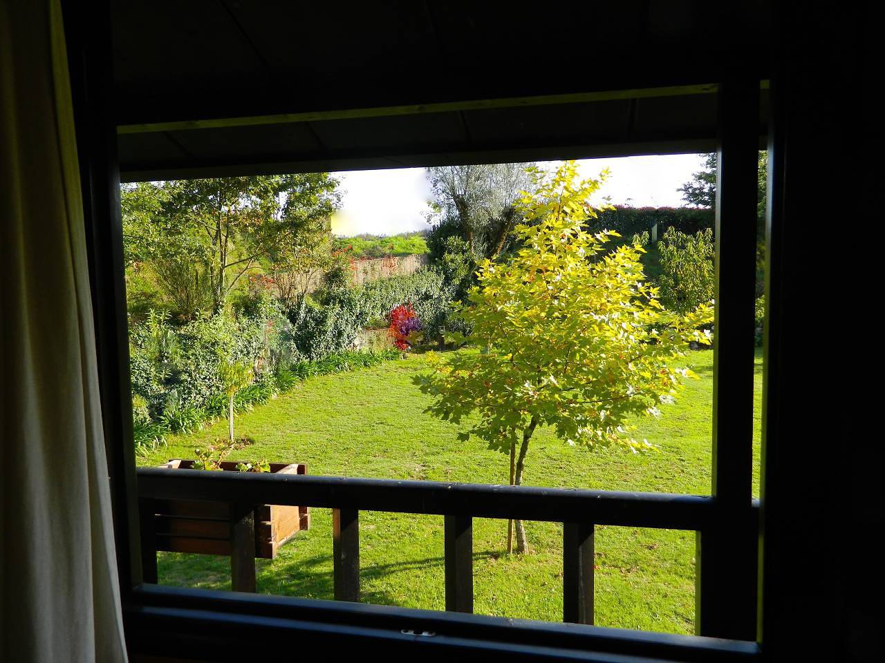 Bungalow voor 3 personen met tuin, foto 7