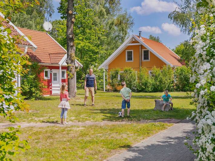 Ferienpark für 4 Personen, mit Terrasse, kinderfreundlich in Mecklenburgische Seenplatte - 3