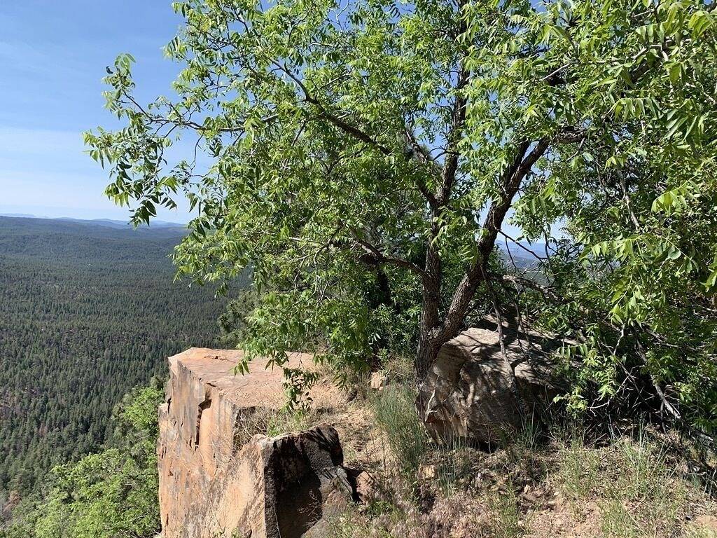 Schöne Bärenteich Kabine Wifi, Satellitenschüssel, Reiten in Navajo County