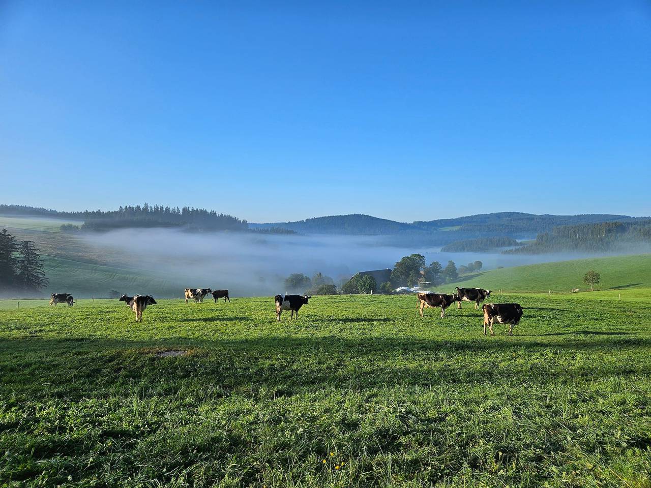 Ganze Wohnung, Ferienwohnung 'Hochfirst' mit 2 Schlafzimmern und Panorama-Balkon in Titisee-Neustadt, Südschwarzwald
