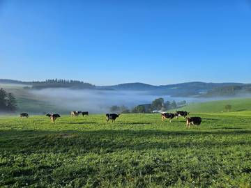 Ferienwohnung für 4 Personen in Titisee-Neustadt, Hochschwarzwald, Bild 4