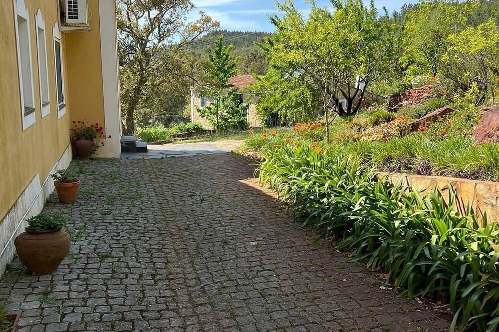 Country House Alegrete Portalegre - Castanheiro da Penha, foto 14