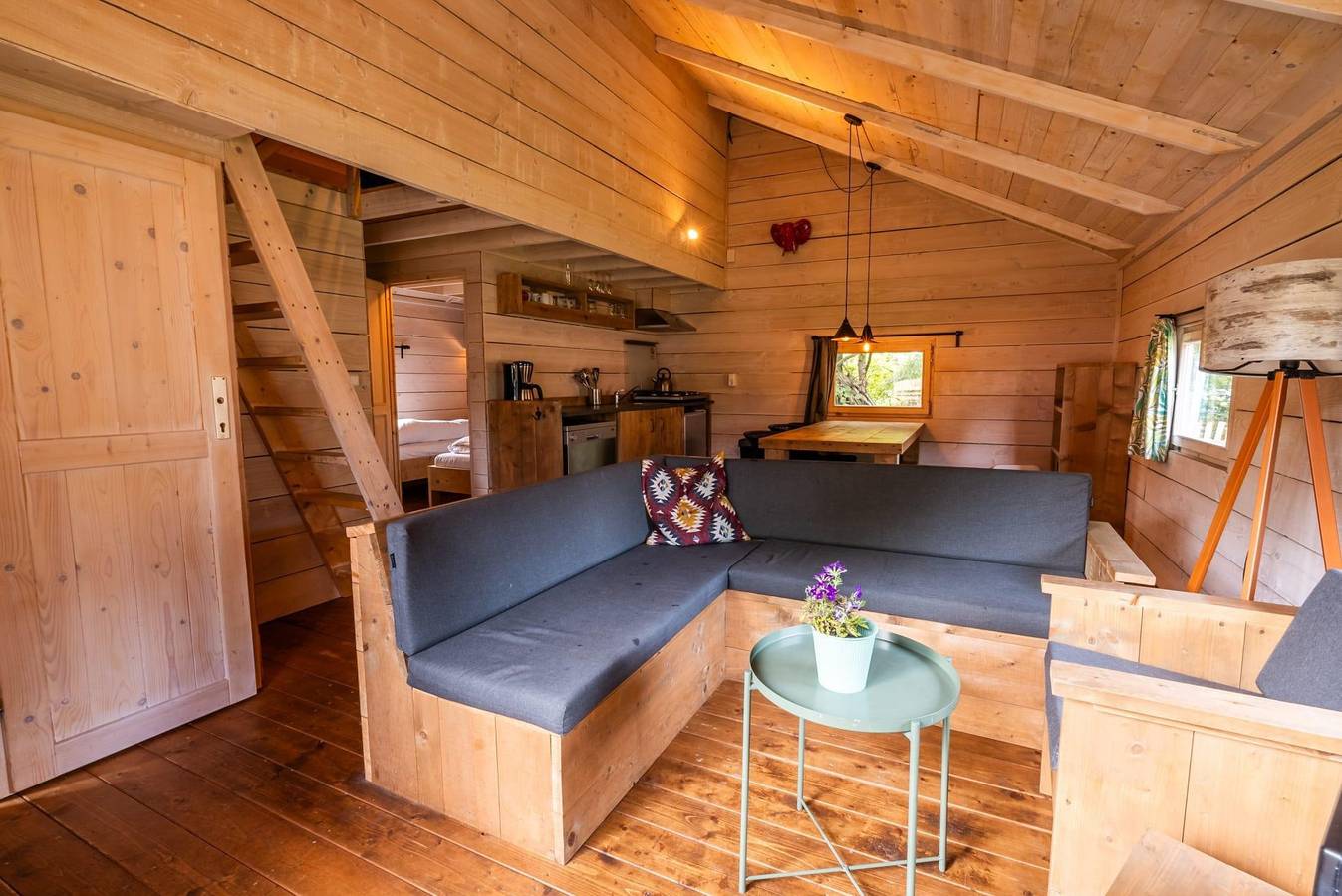 Europarcs Ruinen — Dog Lodge 6 in Ruinen, Nationaal Park Dwingelderveld