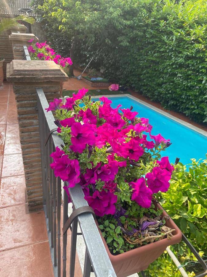 Casa vacanza per 2 persone, con panorama e piscina nonché giardino, con animali domestici in Spigno Saturnia