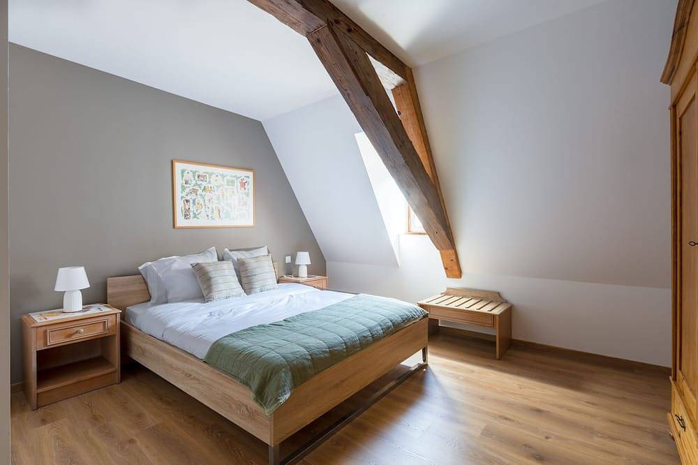 Apartamento entero, Rhenanus: Hans Sapidus 🐕‍🅿️🗝 in Sélestat, Región de Sélestat-Erstein
