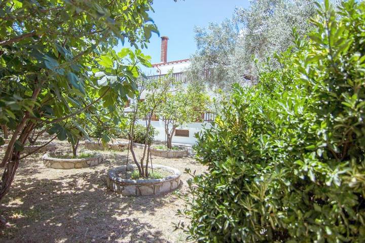 Maison d’hôte pour 2 personnes, avec terrasse et jardin dans Skiathos - 3