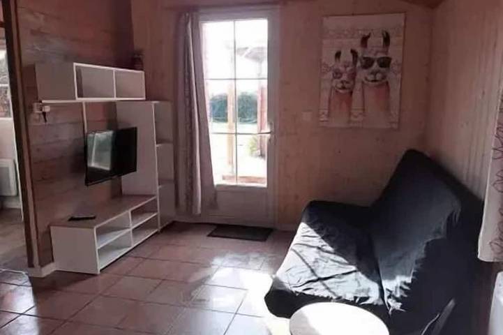 Location de vacances pour 6 personnes, avec terrasse à Sallertaine - 4