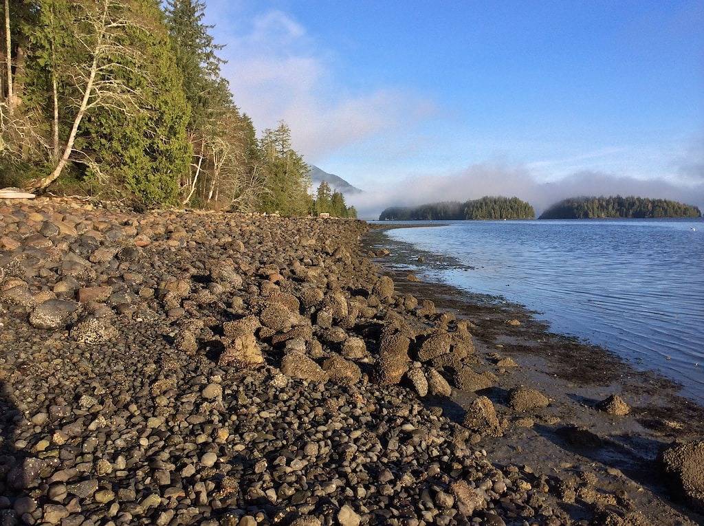 Wunderschöne Oceanfront Rancher mit herrlichem Blick, Sauna, Whirlpool und Billardtisch! in Tofino, Alberni-Clayoquot Regional District