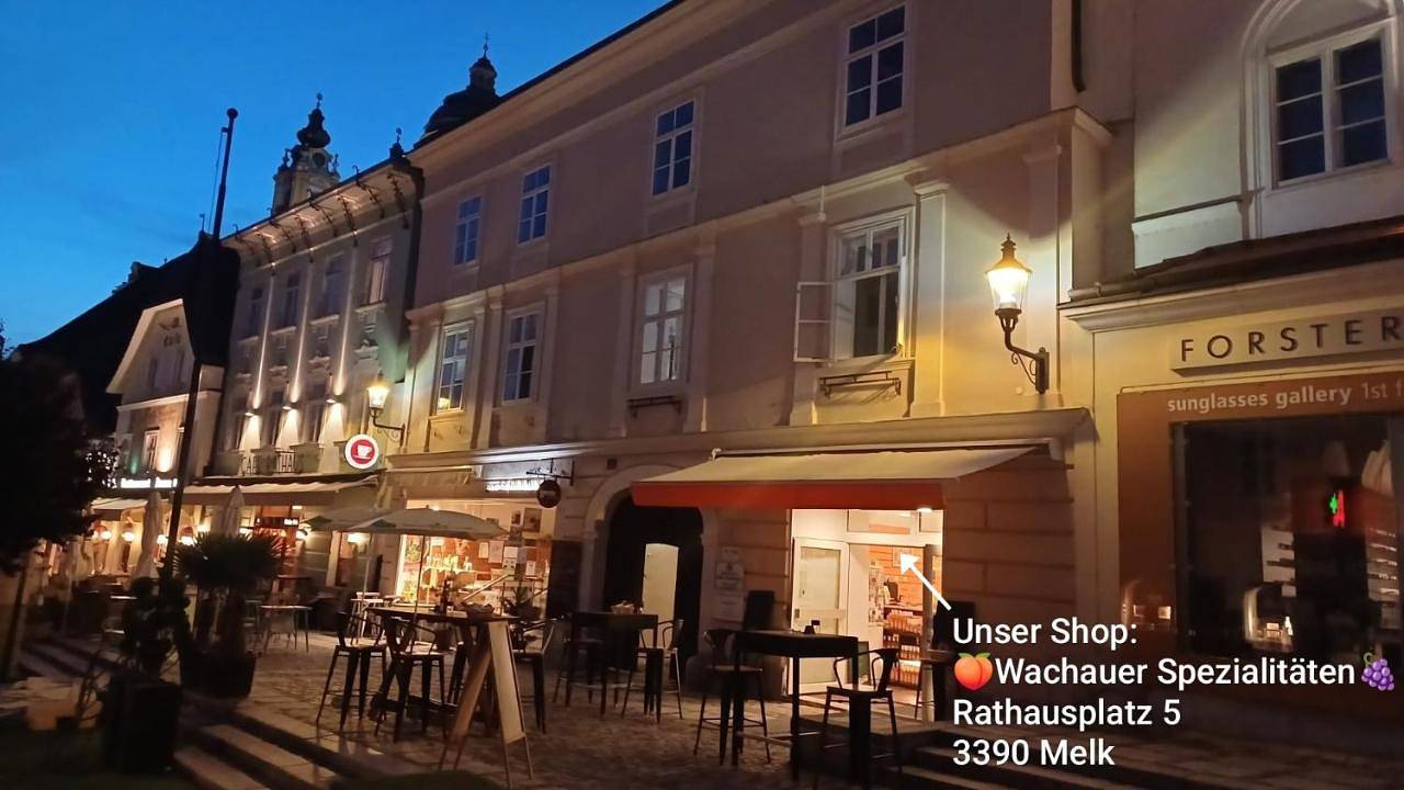 Altstadthaus Marille mit Innenhofterrasse in Melk, Donau Niederösterreich