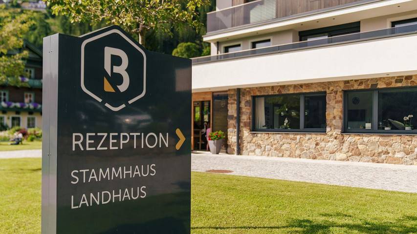 Bauernhof für 6 Personen, mit Balkon und Garten sowie Sauna in Ramsau am Dachstein - 2