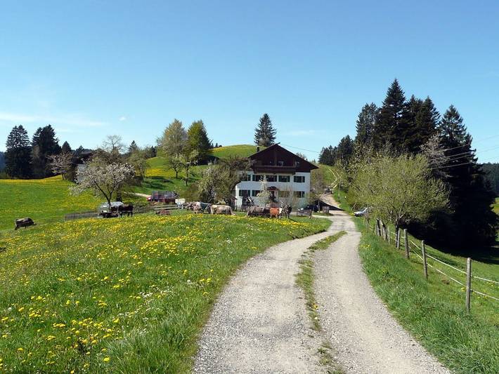 Auf dem Ferienhof Schweizer in Waltenhofen, Bayerisch Schwaben