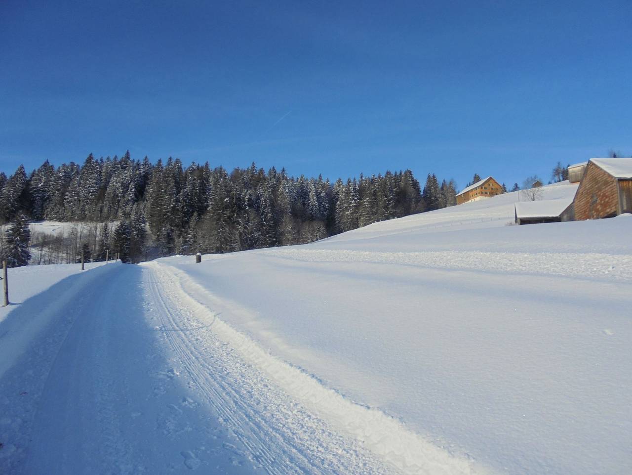 Ganze Ferienwohnung, Ferienwohnung Nußbaumer - Ferienwohnung Alpenblick in Sibratsgfäll, Bregenzerwald