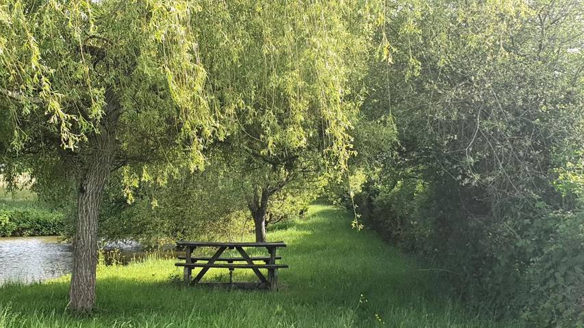 Chalet pour 6 personnes, avec vue et vue sur le lac ainsi que jardin et piscine, animaux acceptés dans Indre - 3