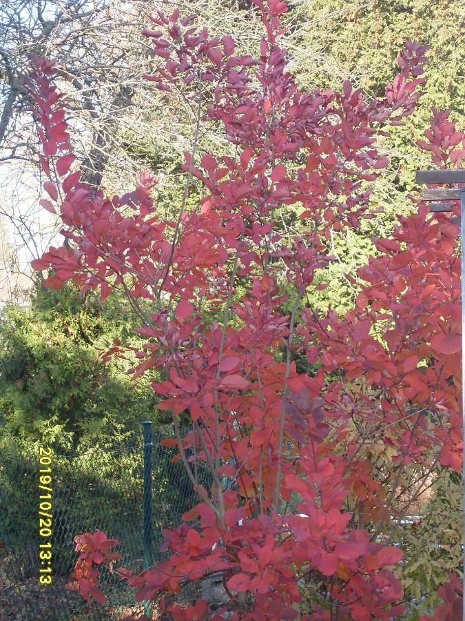 Privatzimmer für 3 Personen, mit Ausblick und Garten - 1