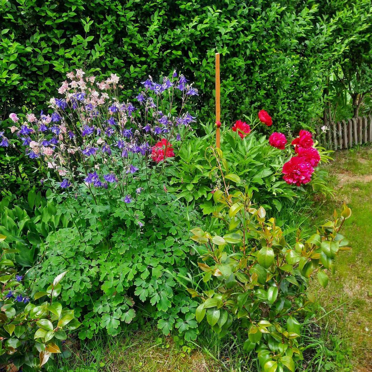 Ferienhaus nur 150 m von der Therme entfernt in Bük, Komitat Eisenburg