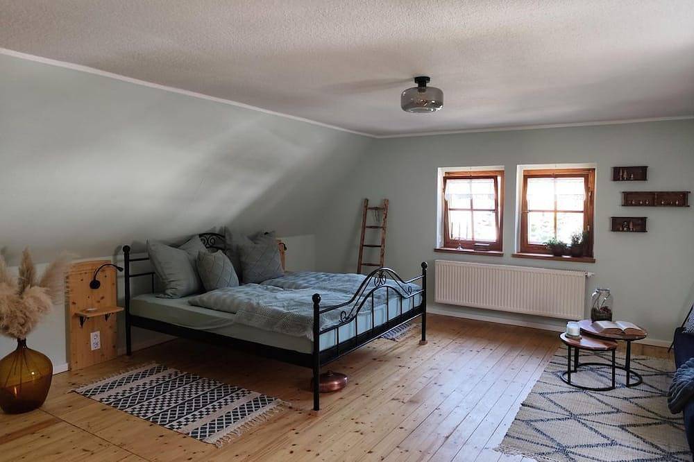 Vacation home \"De Sieme\" - Holiday home, shower, Wc, 2 bedrooms in Olbernhau, Chemnitz (region)