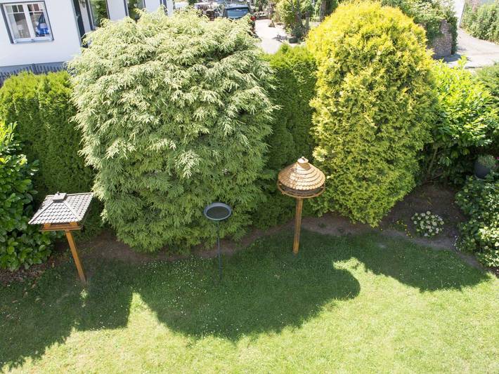 Ferienwohnung für 5 Personen, mit Balkon, kinderfreundlich in Bad Pyrmont - 4