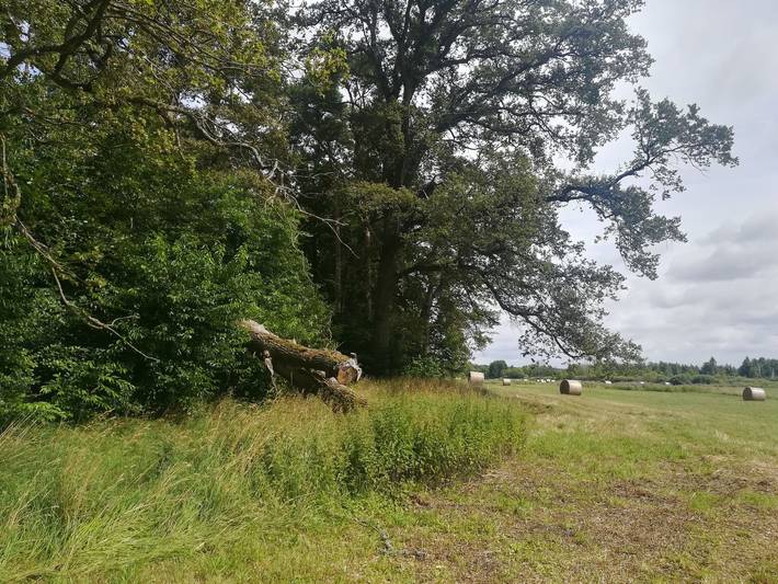 Ferienwohnung für 2 Personen, mit Garten in Lenzen (Elbe) - 4