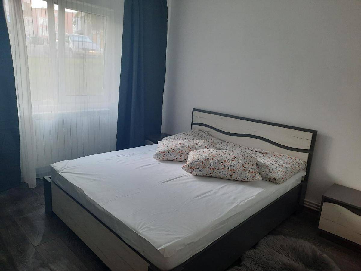 Appartement entier, Apartament în regim hotelier in Deva (Roumanie), Carpates