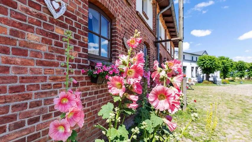 Ferienwohnung für 4 Personen, mit Garten in Steffenshagen