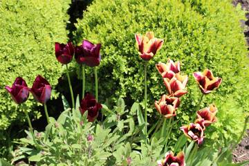 Bauernhof für 4 Personen in Dellstedt, Dithmarschen, Bild 1