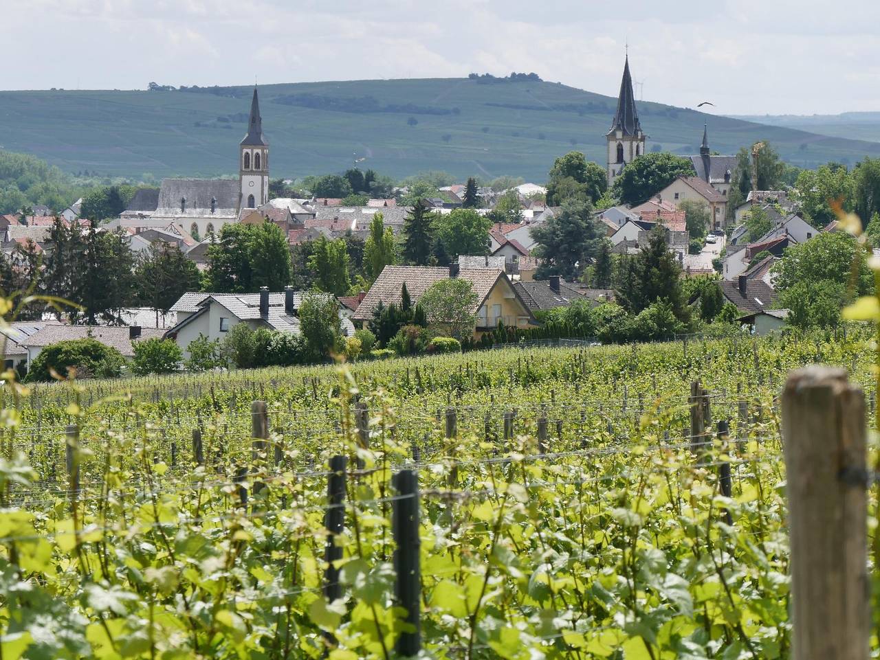 Ganze Ferienwohnung, Ferienwohnung an den Weingärten - Ferienwohnung mit 2 Schlafzimmer und Terrasse in Rheinhessen